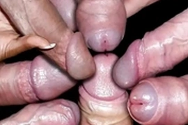 My Favorite Cocks #1