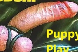 075 bdsm puppy play