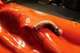 Boundlads - senstitive in vacbed