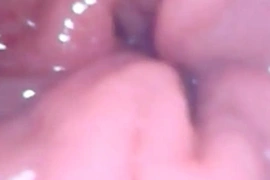 Inside my anal pussy view