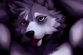 Gay furry animation 1
