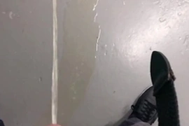 Hotel stairwell pee