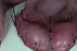 Scrotum cloué