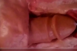 Close up & internal view of anal dildo fucking