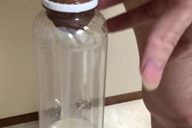 Japanese  cumshot in bottle