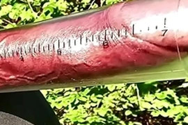 Fully pumped 19 cm cock - flaccid to hard