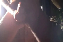 A guy in a taiga bath masturbates a dick and swims naked in the lake